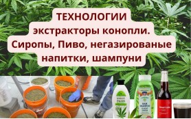 Технологии переработки конопли CBD в напитки, пиво, сир..